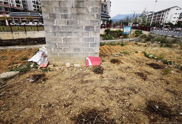 污水横流···整治百色市区那马沟“黑脏臭”，你有何建议？ 污水,横流,··,···,整治