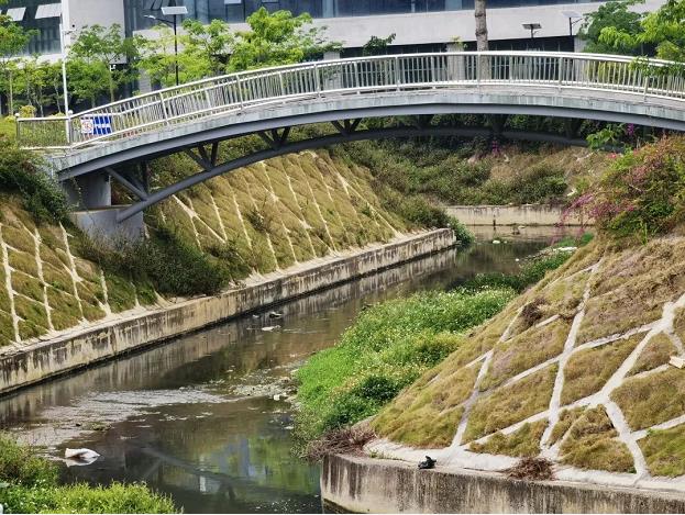 污水横流···整治百色市区那马沟“黑脏臭”，你有何建议？ 污水,横流,··,···,整治