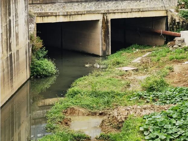 污水横流···整治百色市区那马沟“黑脏臭”，你有何建议？ 污水,横流,··,···,整治