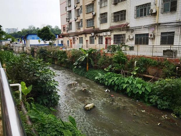 污水横流···整治百色市区那马沟“黑脏臭”，你有何建议？ 污水,横流,··,···,整治