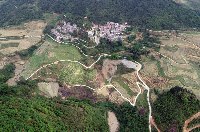 百色市右江区驮安村：党建引领 绘就乡村振兴美丽新画卷 百色,百色市,右江,右江区,江区