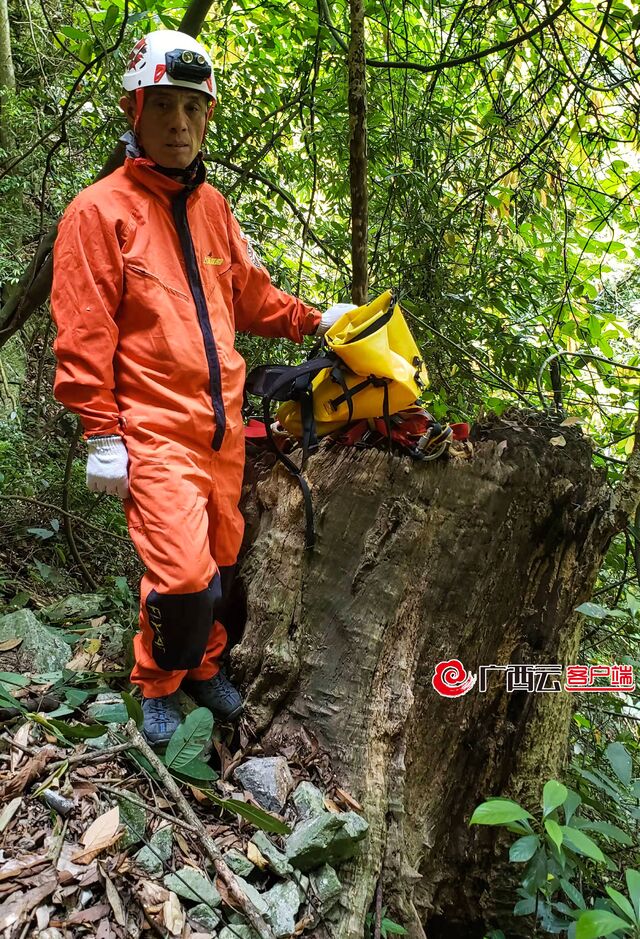 滚动｜乐业发现新天坑 直击科考探险队科考现场 滚动,乐业,发现,新天,天坑