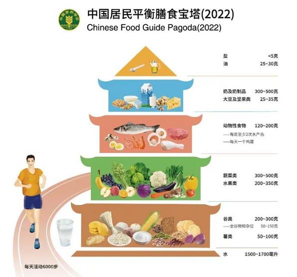 中国居民平衡膳食宝塔、餐盘（2022）图示修订和解析说明 中国,居民,民平,平衡,平衡膳食