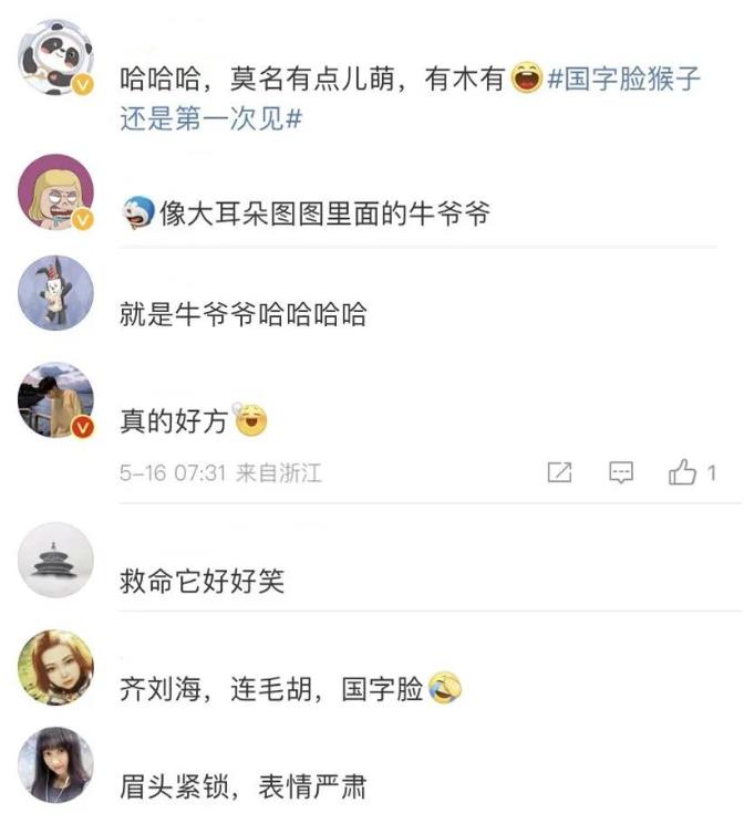 围观火爆全网的&quot;国字脸&quot;猴！网友：这不是牛爷爷吗 围观,观火,火爆