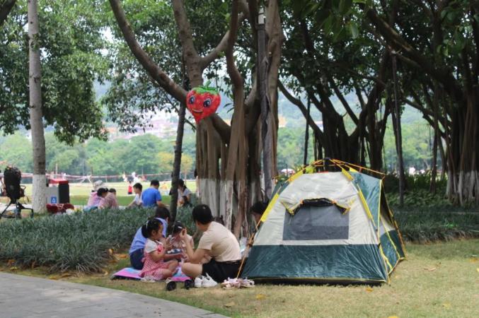 近郊露营成“新风尚”，百色人注意··· 近郊,露营,新风,新风尚,风尚