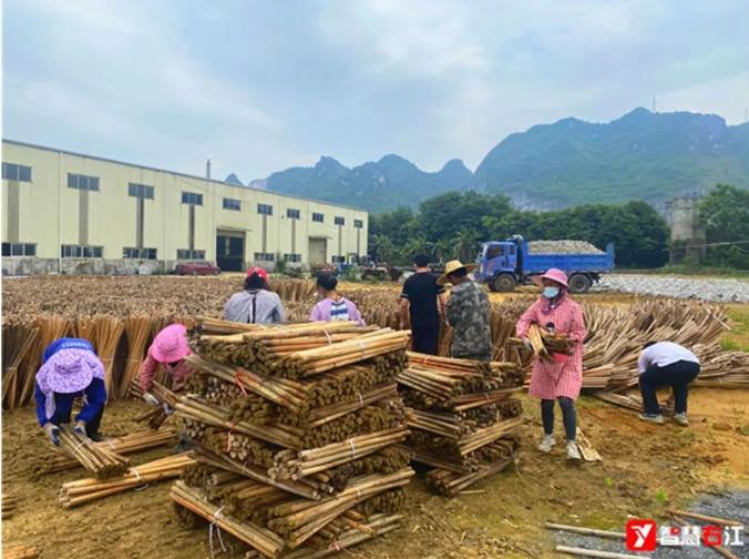 深圳小镇百祥社区“百祥送工”就业服务站首批“送工”24名 深圳,小镇,百祥,社区,就业