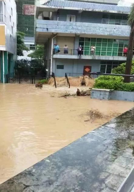 建华路／东笋路一带逢雨内涝严重，民生出行难！谁做主？ 建华,建华路,华路,东笋路,路一