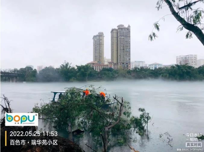 闻讯而动，及时清理倒伏树木！ 闻讯,而动,及时,时清,清理