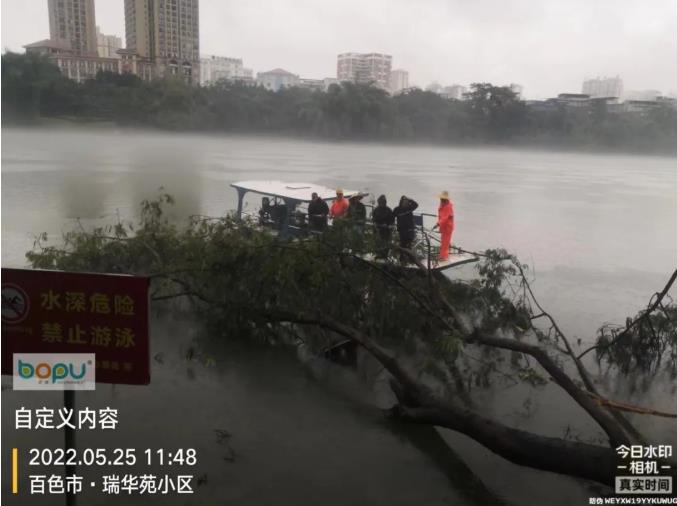 闻讯而动，及时清理倒伏树木！ 闻讯,而动,及时,时清,清理