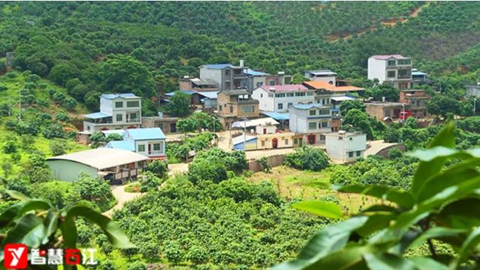 右江区扎实开展“雨露计划” 为学纾困润民心 右江,右江区,江区,扎实,开展