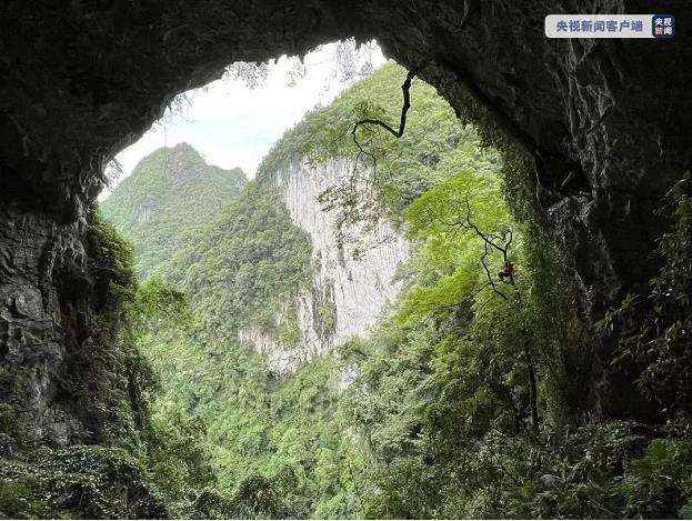 【百色印记】乐业大石围天坑群旅游景区正式开放 百色,印记,乐业,业大,大石