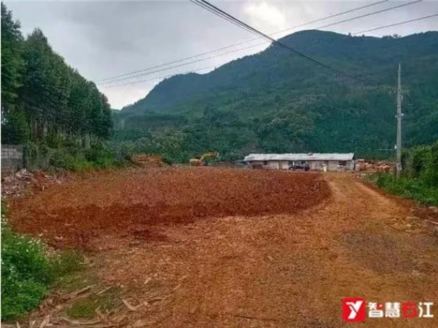 右江区：做好耕地文章，端牢手中饭碗 右江,右江区,江区,做好,耕地