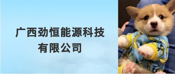 右江区2022年夏季就业帮扶7月网上招聘 右江,右江区,江区,2022,2022年