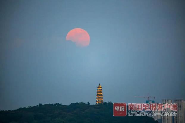 百色上空年度最大“超级月亮”，你的朋友圈被刷屏没？ 百色,上空,年度,最大,超级