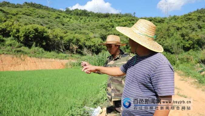 自掏腰包10万余元，他将15亩低产林地变成“高产田”！ 腰包,10,10万,万余,万余元