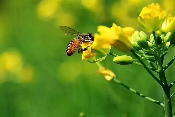 [转载]桫椤：真正的诗歌从来都是“边缘”的 转载,桫椤,真正,正的,诗歌