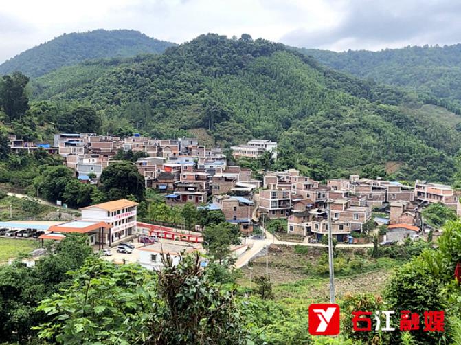 边远“香村”的绿色坚守 - 百色市右江区罗甫村脱贫致富记 边远,香村,绿色,坚守,百色