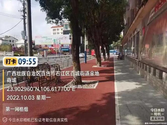 爱了！百色城区这些道路变身“颜值担当” 爱了,百色,城区,这些,道路