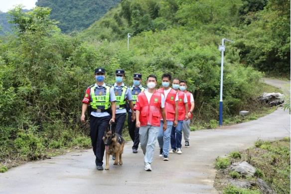 东黑冠长臂猿，我们来守护！ 黑冠长臂猿,冠长臂猿,长臂,长臂猿,我们