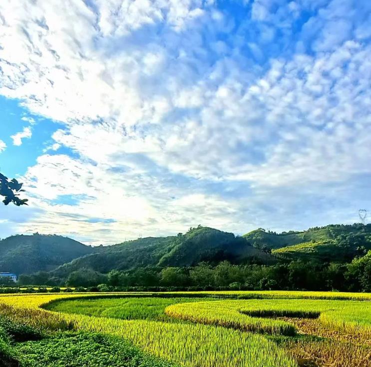 宛如海岸线！今天的百色天空，又刷爆朋友圈！ 宛如,如海,海岸,海岸线,岸线