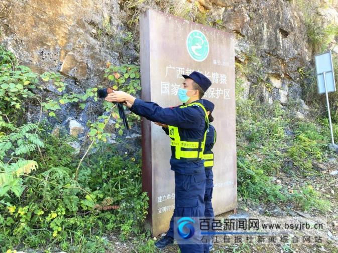 百色一巡护队救助野生“小可爱”，一查竟是... 百色,救助,野生,小可,小可爱