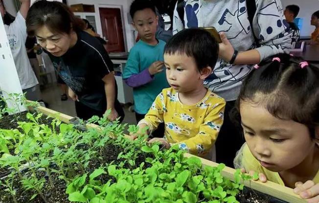 百色学院农学院举办科普开放日活动培植科学精神 百色,百色学院,学院,农学,农学院