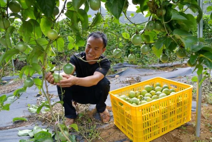 百色撤地设市20年，发生了这些翻天覆地的变化→ 百色,设市,20,20年,发生