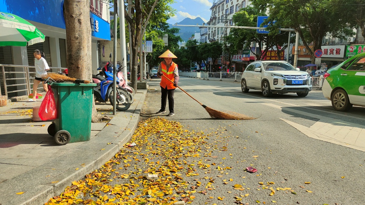 广西百色隆林：以“四抓”提升城市精细化治理水平 广西,广西百色,西百,百色,隆林