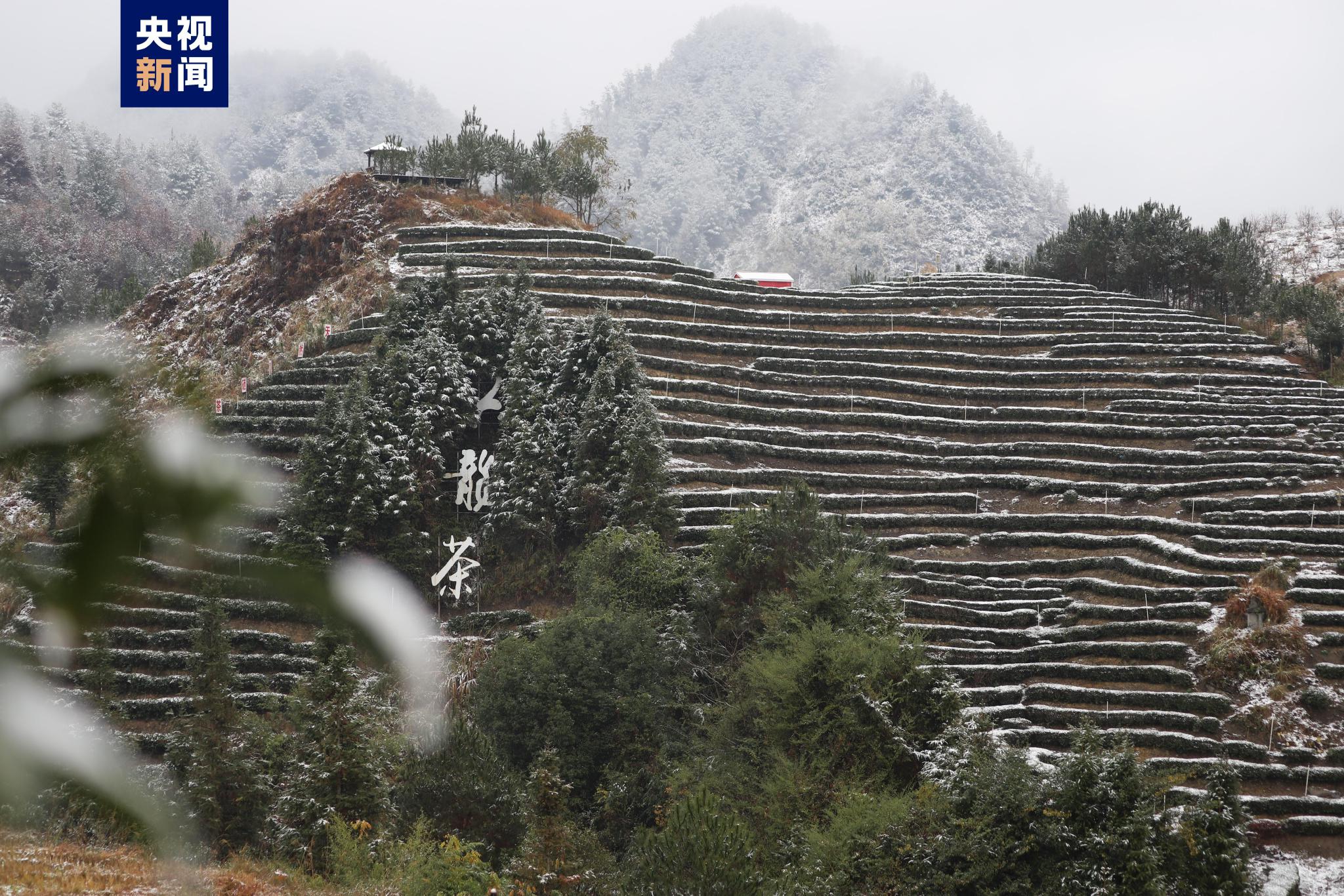 不期而至！广西多地迎来2022年首场降雪 