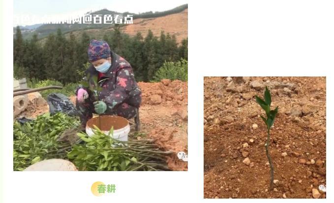 微信截图_20230223174543.jpg