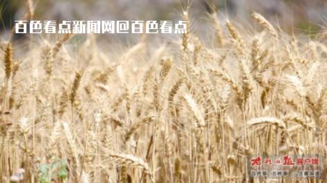 微信截图_20230506114219.jpg