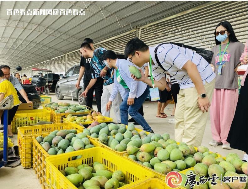 根本“炫”不完！中国芒果交易中心“芒山芒海”太震撼 