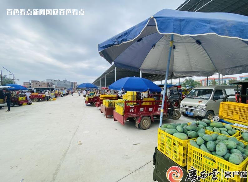 根本“炫”不完！中国芒果交易中心“芒山芒海”太震撼 