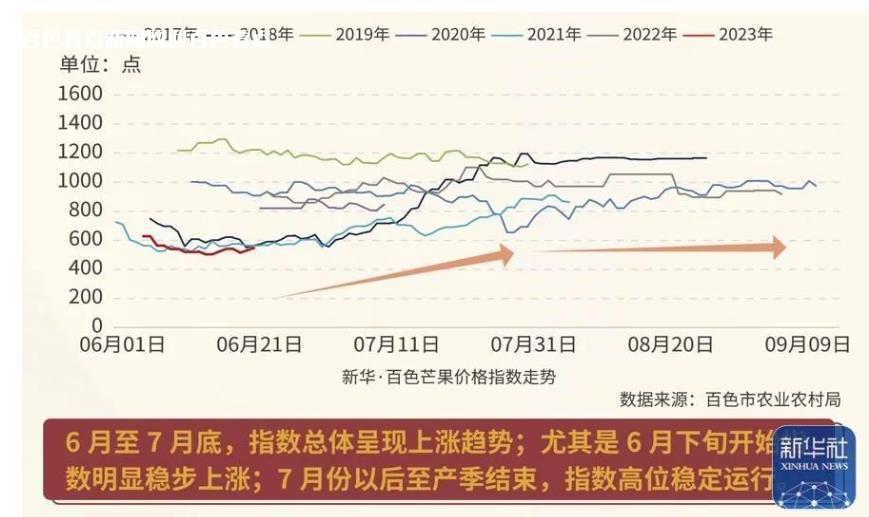 广西芒果产业加速迈入数字化发展新阶段 