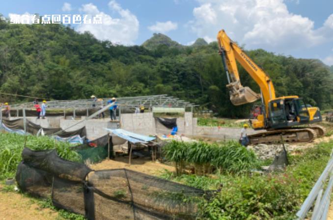 靖西一村民违法占用耕地0.56亩建设养殖场被依法拆除 