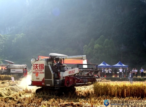 全区水稻全程机械化暨机收减损大比武现场会在靖西举行 农机,全市,机械化,西市,补贴