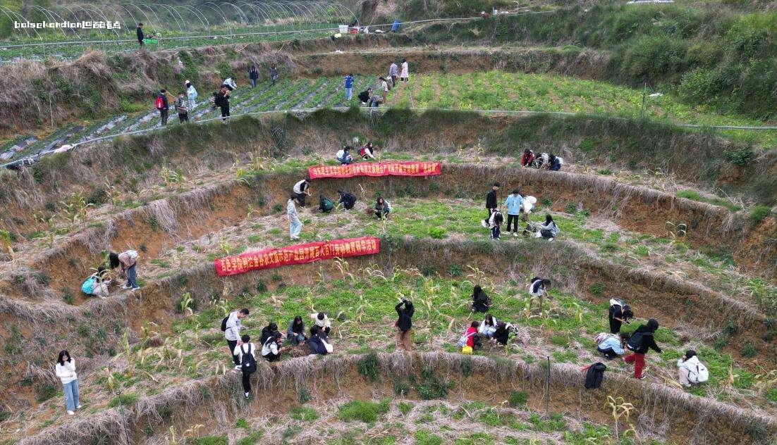 百色学院马克思主义学院：将思政课堂“搬”到田间地头 劳动,那坡县,同学们,学院