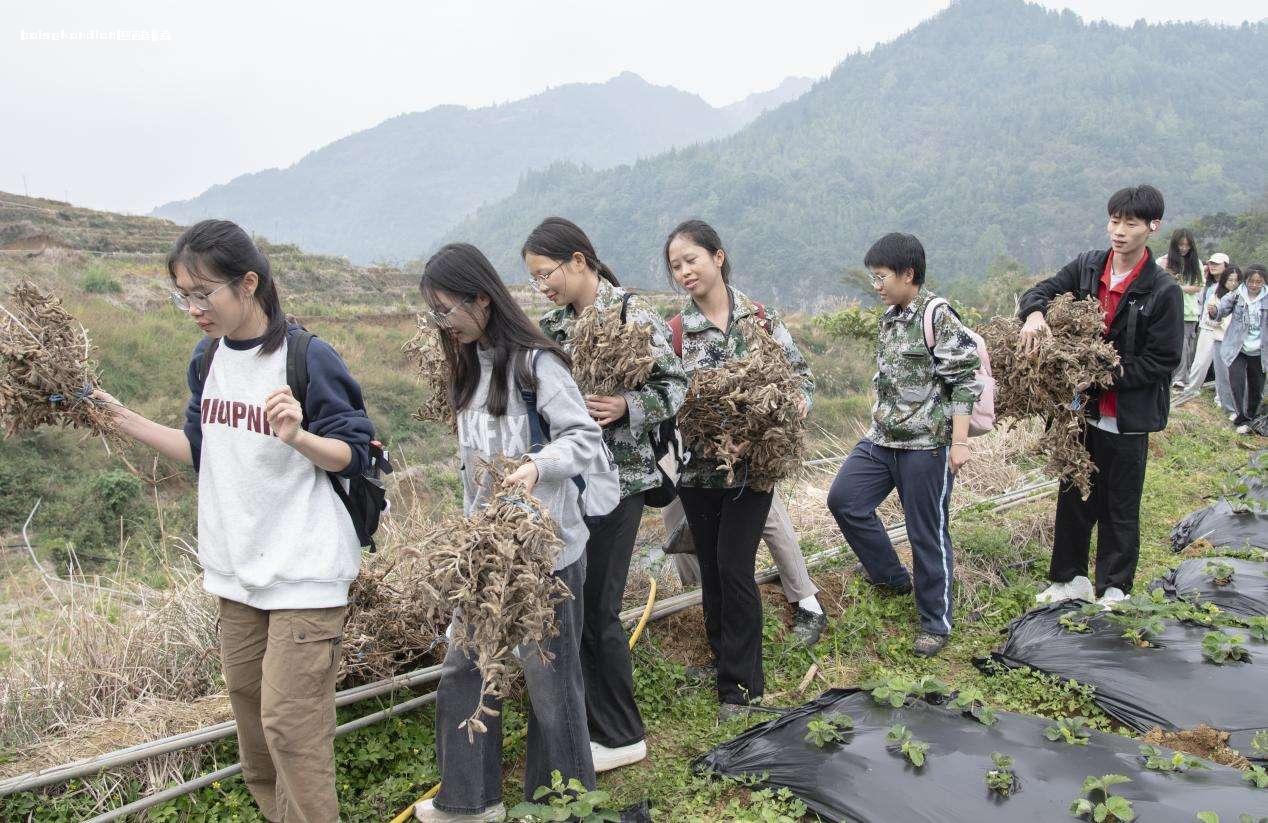 百色学院马克思主义学院：将思政课堂“搬”到田间地头 劳动,那坡县,同学们,学院