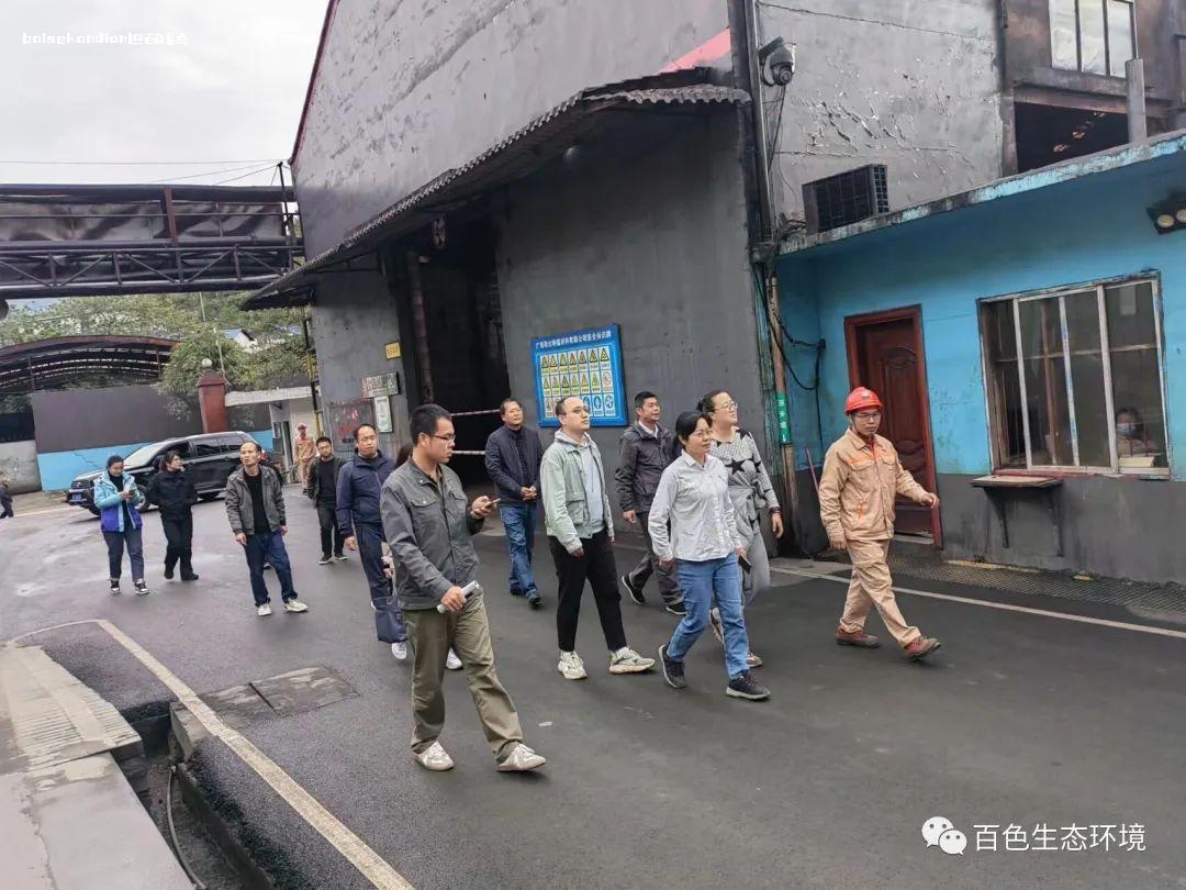 生态环境部固管中心调研组深入百色靖西市锰企业指导锰渣资源化利用 西市,有限公司,百色市,生态环境局,生态