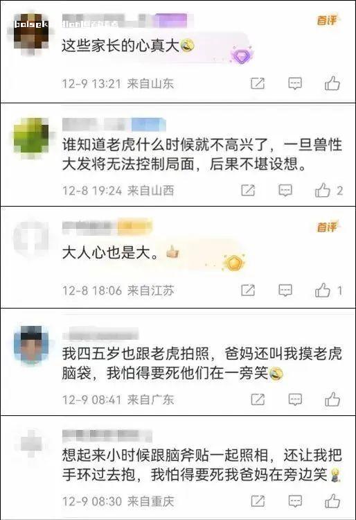 田东一马戏团让孩子们排队骑虎拍照？已立案处理 视频,显示,百色,孩子,老虎