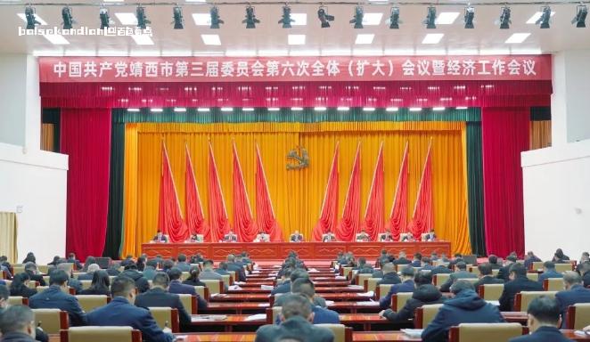 中国共产党靖西市第三届委员会第六次全体（扩大）会议公报 全会,经济工作,精神,市委