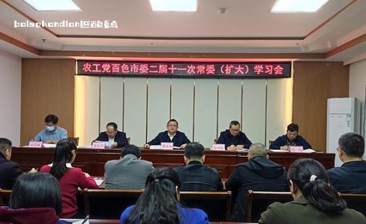 农工党百色市委召开常委(扩大)专题学习会 会议,市委,百色,农工党