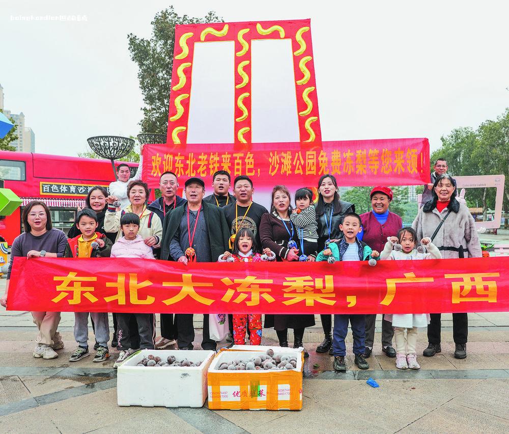 南北双向奔赴  东北游客带着冻梨到百色旅游打卡 百色,东北,游客,冻梨