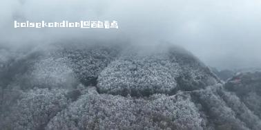 群山飞白，万木挂絮！岑王老山迎来新年初雪 attach,近日,冷空气,影响,田林