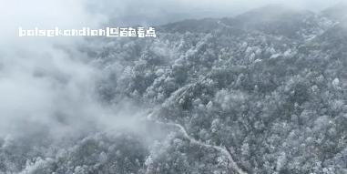 群山飞白，万木挂絮！岑王老山迎来新年初雪 attach,近日,冷空气,影响,田林