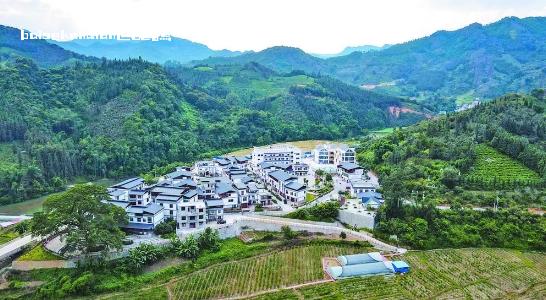 乐业文化和旅游赋能乡村振兴 乡村,旅游,振兴,发展,群众