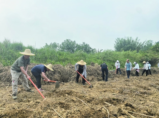 右江区百城街道人大工委：凝心聚力助耕种 全力以赴保生产 工作,耕种,街道,开展,宣传