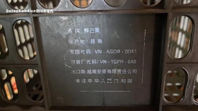 百色芒果6月15日开采上市 警惕网络虚假销售行为 芒果,百色,开采,上市,6月