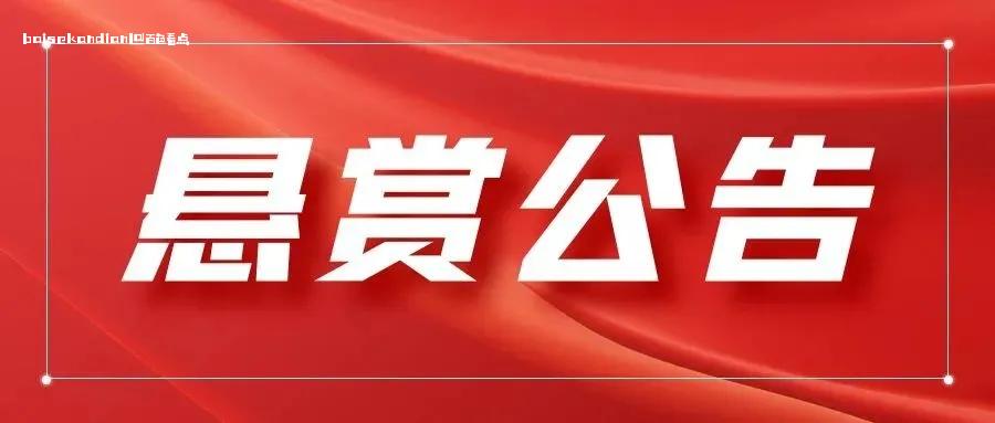 德保法院发布悬赏公告！最高奖励8万！ 2023,1024,274号,德保县,人民法院