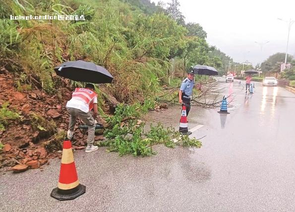 强降雨致道路出现滑坡 百色相关部门紧急处置 公路,影响,德保县,滑坡,交警